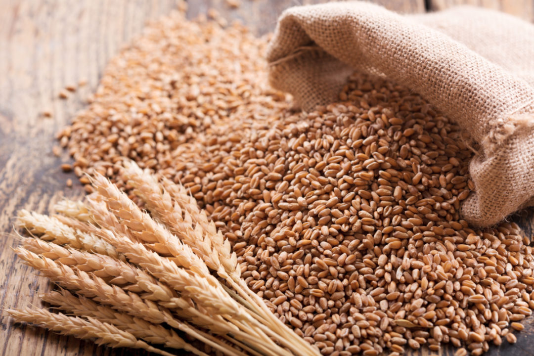 Wheat Wheat